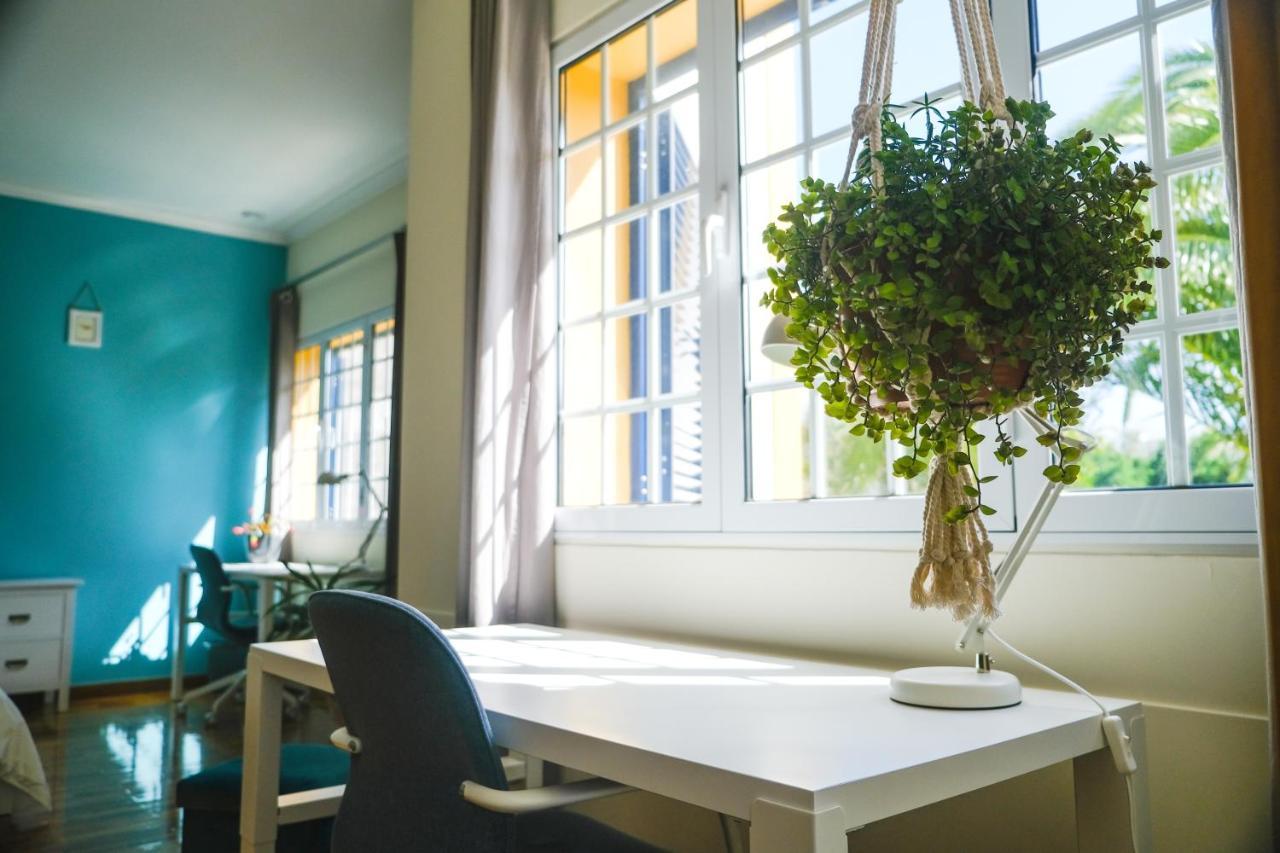Lava Acores Coliving & Coworking Ribeira Grande Exterior foto